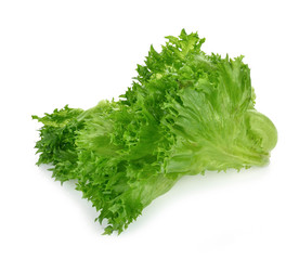 fresh green lettuce leaves isolated on white