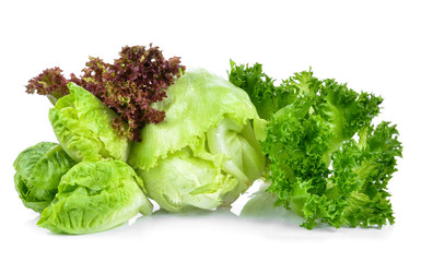 fresh green lettuce leaves isolated on white
