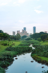 water management in Bishan park