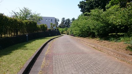 これ何処に続くんだ？