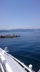 ここなら釣れそう