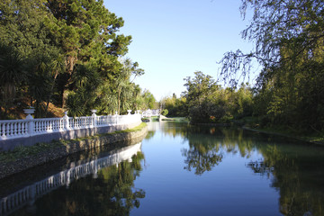 Fototapeta na wymiar Pond in park among trees 