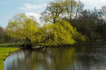 Fototapeta na wymiar Vondel Park in the heart of Amsterdam on a spring day.