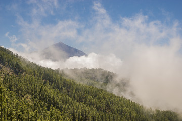 Teide volcano national park, Canary Islands, Spain