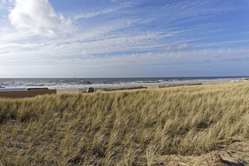 beach landscape on a sunny day with blue sky