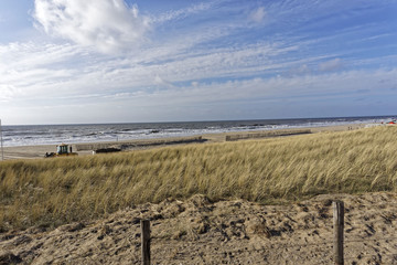 beach landscape on a sunny day with blue sky