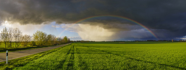 Rainbow in the sky above the spring field after the storm