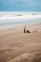 Plage de Principina a Mare du Parc naturel r&eacute;gional de la Maremma en Toscane