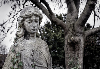 Fototapeta na wymiar Young angel statue in a London cemetary looks down in mourning