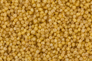 Dry millet closeup