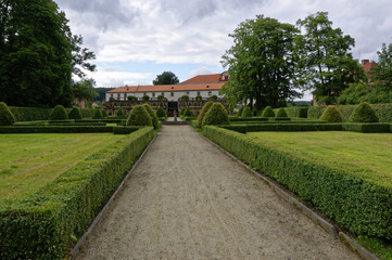 Pathway between the plants in the lawn