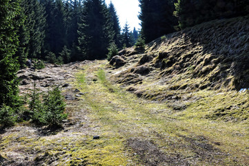 Dirt road leads to the mountain