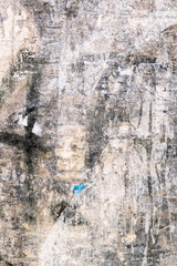 Fototapeta premium Hintergrund0507b