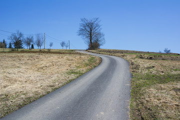 Landscape and countryside - narrow asphalt road, bare deciduous trees, electric poles and wire, meadows and fields