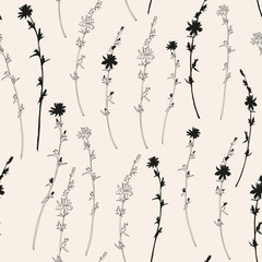 Vector seamless pattern  with hand drawn chicory flowers.Thin lines flowers in black on beige background. 

