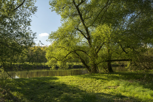 Naturlandschaft an der Agger, Troisdorf