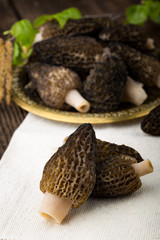 Fresh morchella conica, seasonal mushrooms.