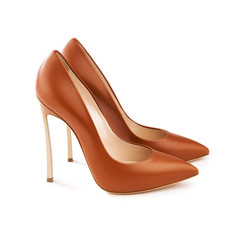 Studio shot of a pair of a brown high-heeled female shoes