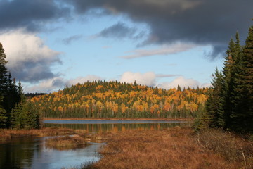 Un paysage parfait pour décrire le québec en automne