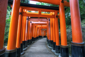 fushimi inari taisha gates