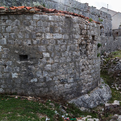 Part of Fort Imperijal