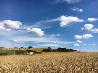 Mähdrescher bei Traumwetter