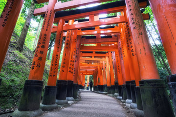 fushimi inari taisha gates