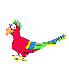 Funny cartoon colorful parrot with big eyes