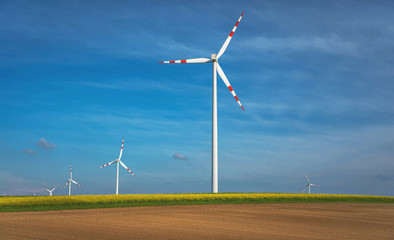 Rapeseed and windwheels with blue Sky