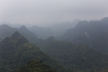 Cat Ba National Park fog