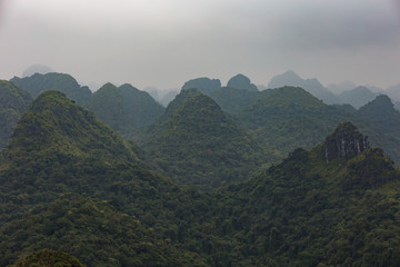 Cat Ba National Park fog
