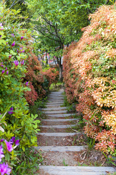Narrow walkway in lush colorful garden
