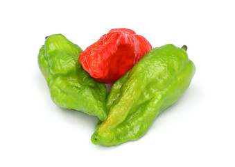 Fresh Bhut Jolokia chili pepper or Naga Morich