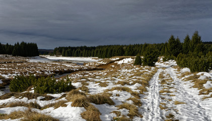 Snow falls on the grass dunes