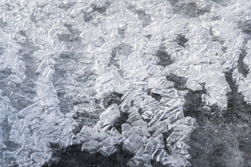 Fototapeta premium Ice cubes in the water