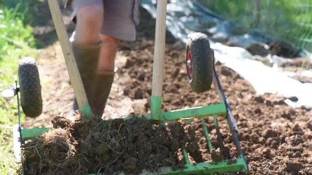 Person returns the earth from her organic garden