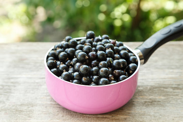 Black currant crop