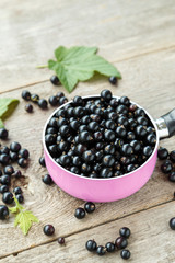 black currant berries