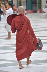 Myanmar Yangoon Pagoda Shwedagon 