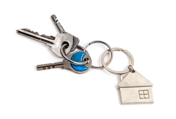 A bunch of keys on a white background