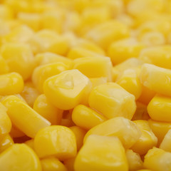 Surface coated with the canned corn