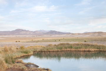view of tecopa hot springs little pond in Mojave desert, Nenada