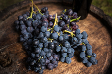 Red wine bottle,vine and bunch of grapes on a wooden barrel