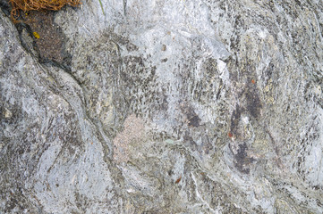 Sea rock close up