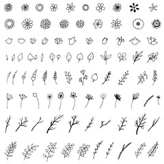 Set of simple doodles of flowers and twigs