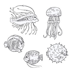 set hand-drawn doodle fish. Decorative fish isolated on white. Vector