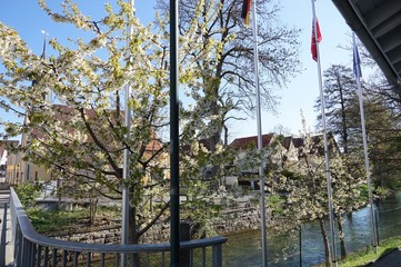 Obraz premium Stadtbild Giengen an der Brenz mit Kirchtürmen der Stadtkirche 