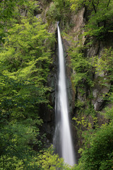 Wasserfall Pevereggia Im Wald, Schweiz