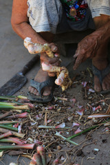 Grandmother is a farmer.She is peeling galangal.