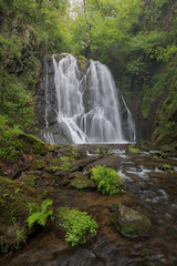 Obraz premium Wasserfall Pevereggia Im Wald, Schweiz